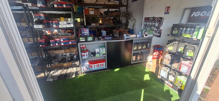 Intérieur d'une petite boutique avec des étagères remplies d'outils, de bouteilles et de fournitures sur une moquette verte, éclairée par la lumière du soleil.