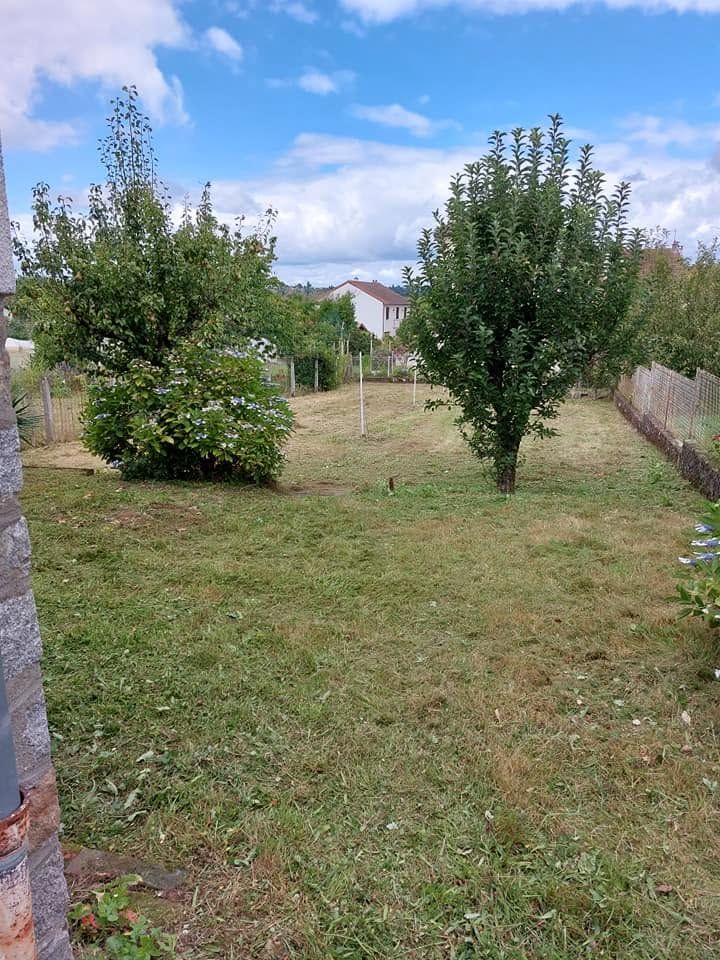 Cour arrière herbeuse avec deux petits arbres, un muret en pierre à gauche et une clôture à droite, sous un ciel bleu.