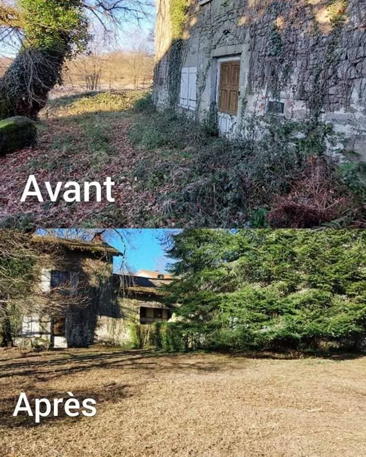 Avant et après la transformation d'un bâtiment envahi par le lierre en une cour dégagée, arborée et ensoleillée.