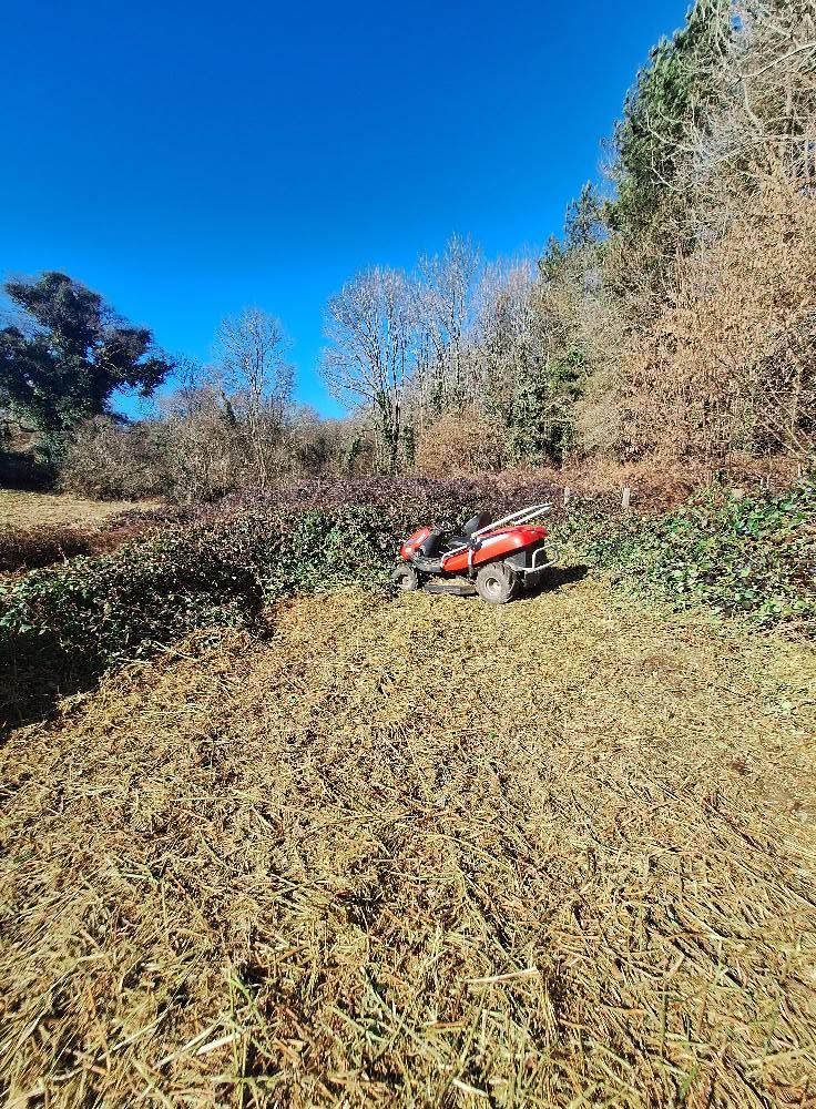 Un quad rouge est garé sur une colline herbeuse et sèche, sous un ciel bleu clair, avec des arbres en arrière-plan.