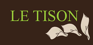 Le Tison