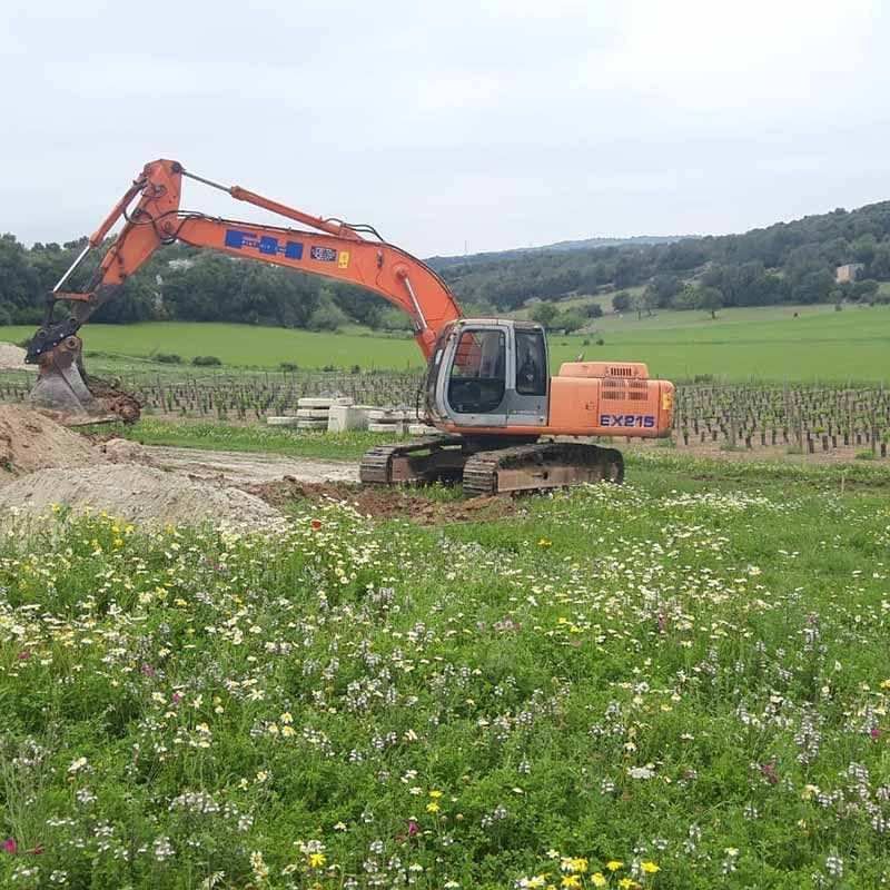 Una gran excavadora naranja está cavando en un campo de flores.
