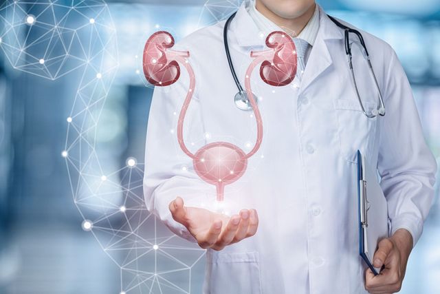 Dr João Bastos urologista lisboa