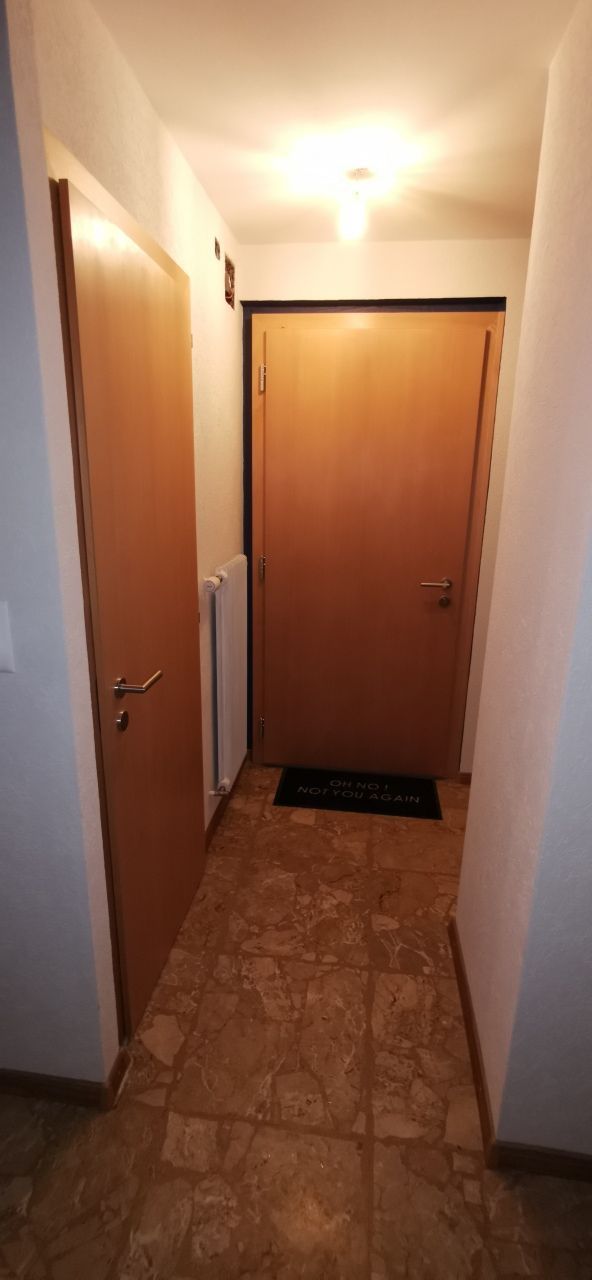 Un couloir avec une porte en bois et un tapis noir au sol.