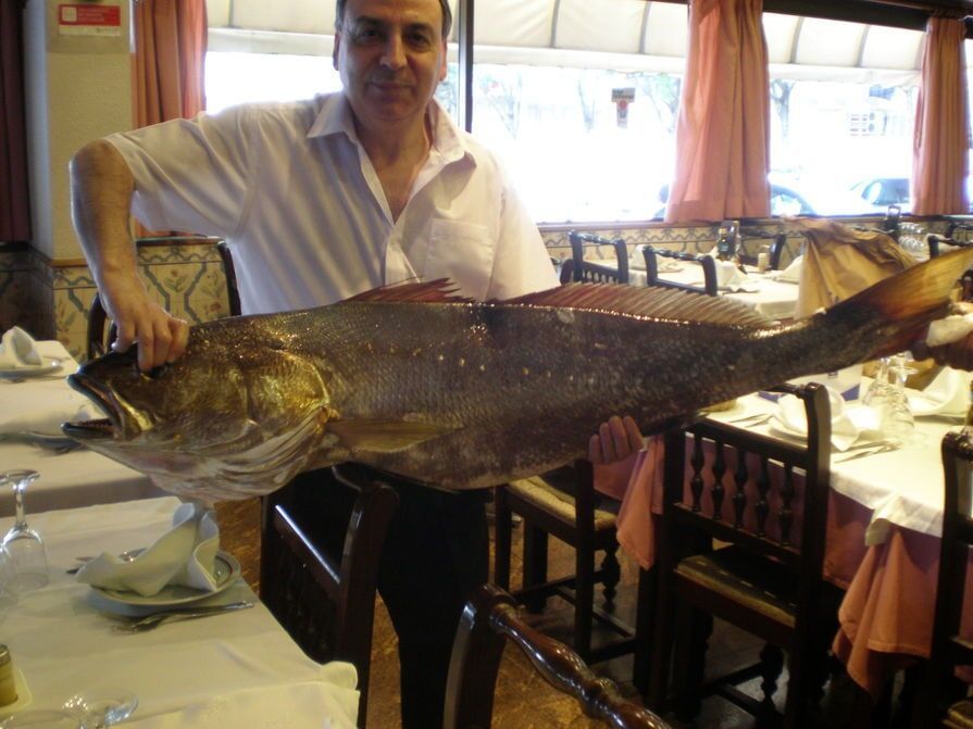 Um homem está segurando um peixe grande em um restaurante