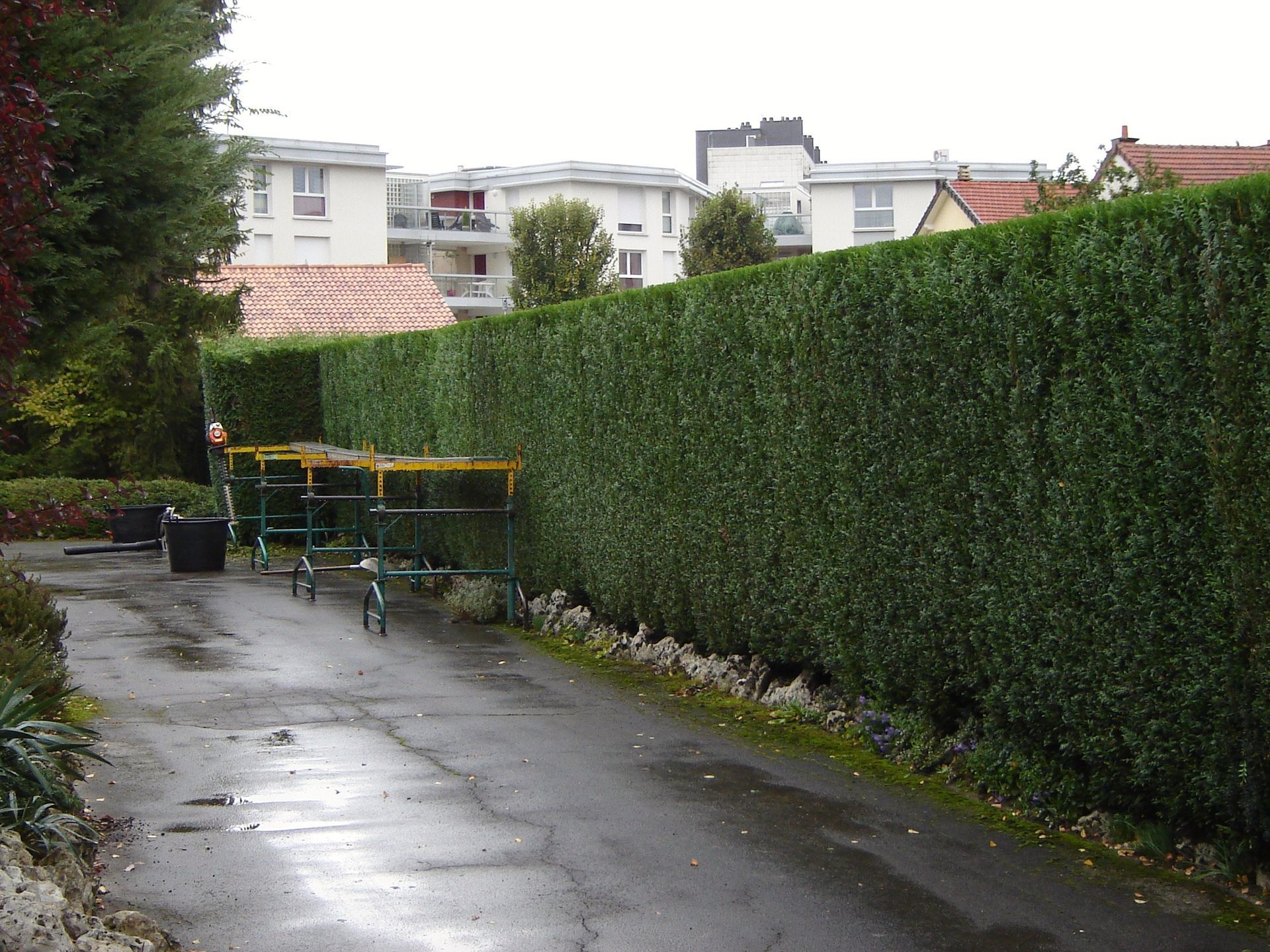 Ruelle résidentielle pluvieuse, bordée d'une haute haie verte, avec une charrette en métal et un trottoir mouillé.