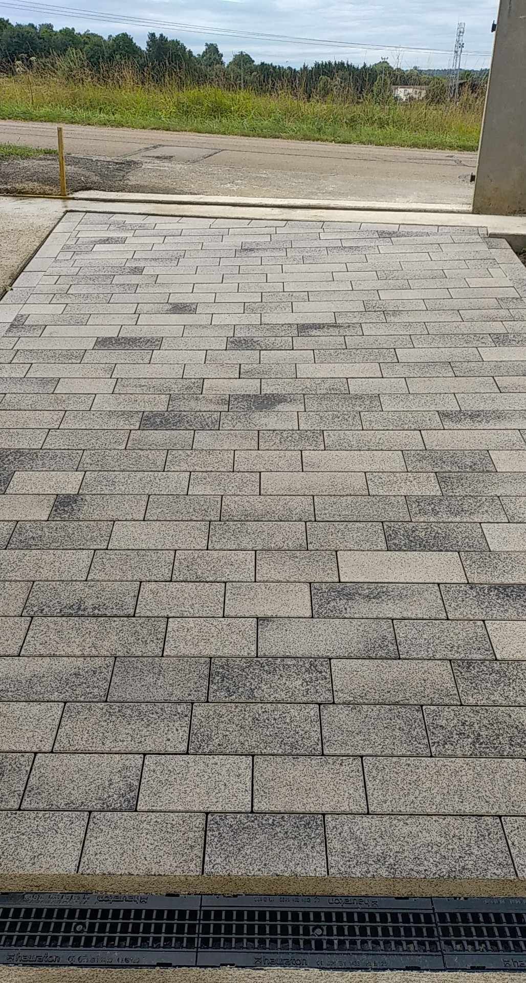 Allée pavée menant à une clairière herbeuse, avec une grille d'égout au premier plan.