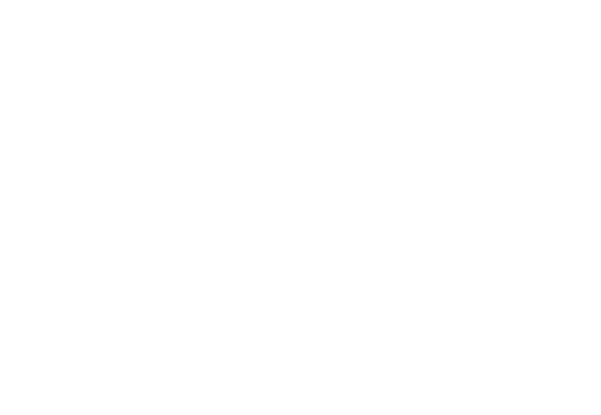 Logo Ferger Automobiles.