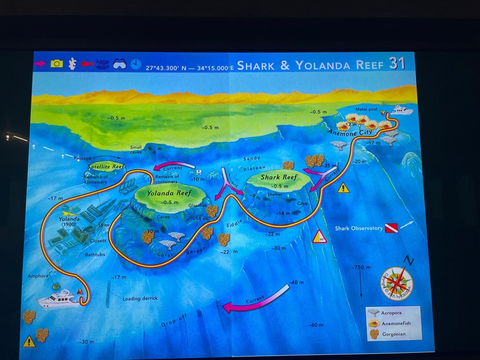 Carte colorée du récif Shark & ​​Yolanda avec itinéraire de plongée indiqué sur fond bleu océan.