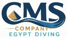 Logo de CMS Company Egypt Diving en bleu marine, or et turquoise avec une pyramide stylisée