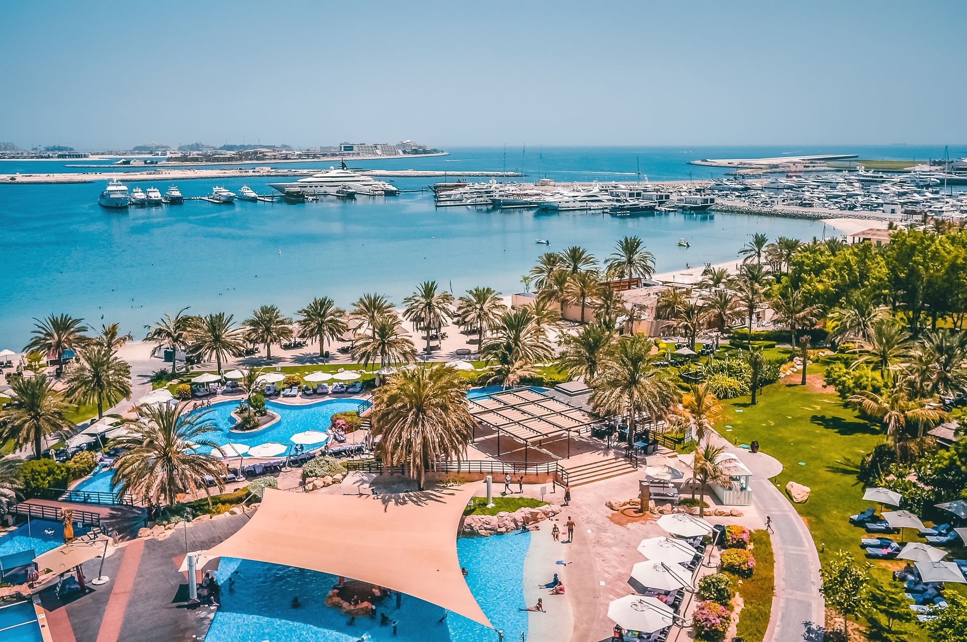 Piscine d'un complexe hôtelier tropical donnant sur un port de plaisance avec des palmiers, une eau bleue et des bateaux au loin.