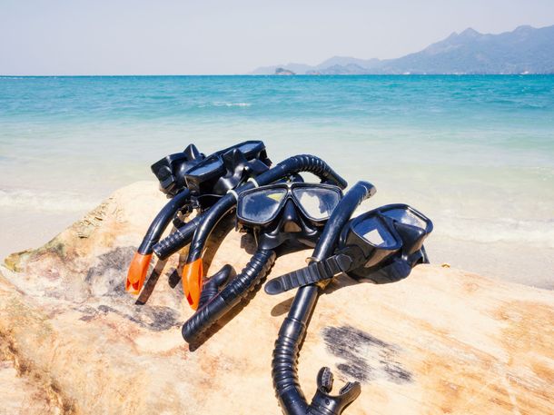 Des crabes noirs sur un rocher ensoleillé au bord d'une plage turquoise, avec l'océan et des collines au loin.