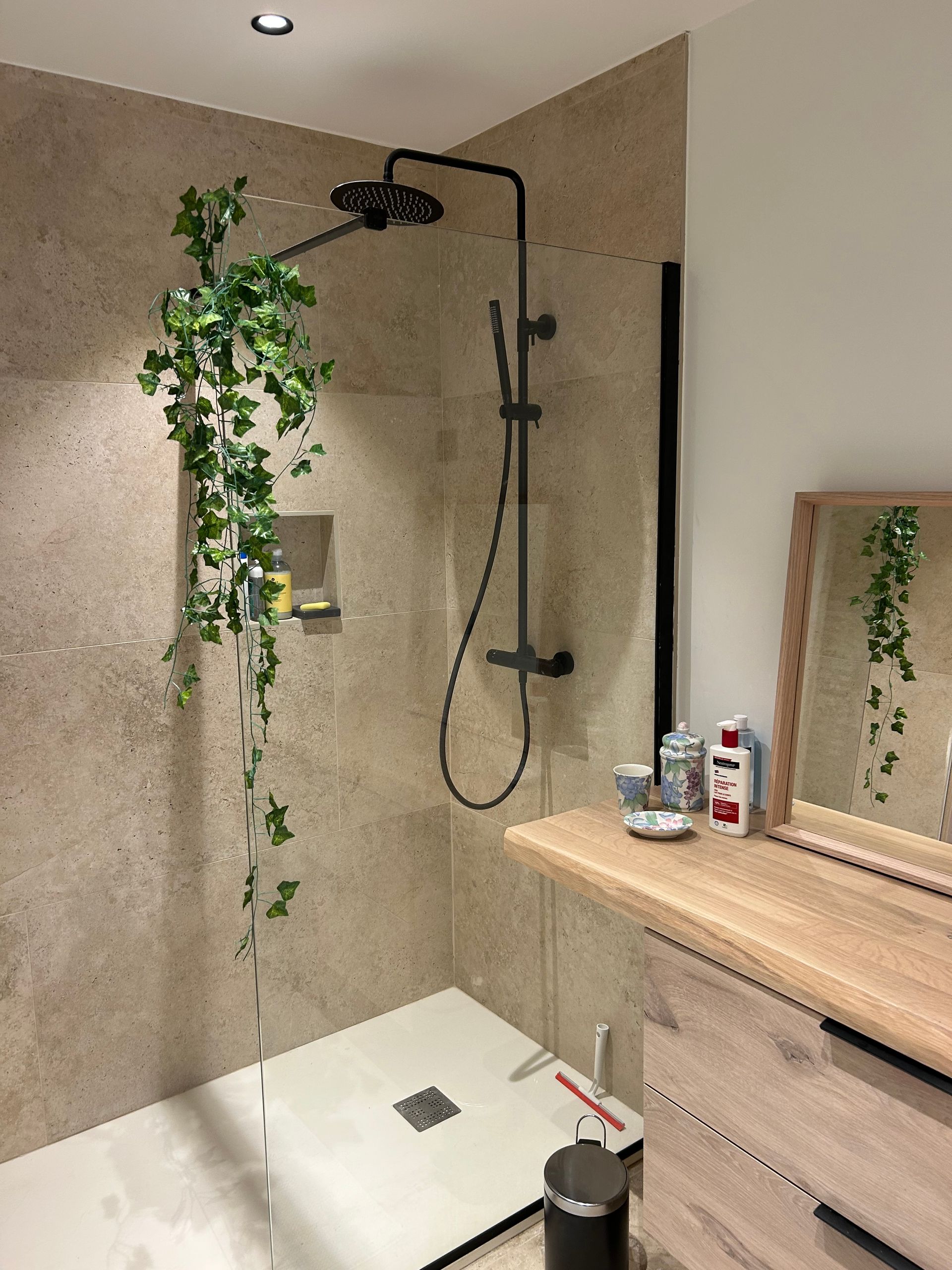 Douche avec robinetterie noire, carrelage beige et plante grimpante verte. On y voit un meuble-lavabo en bois et un miroir.