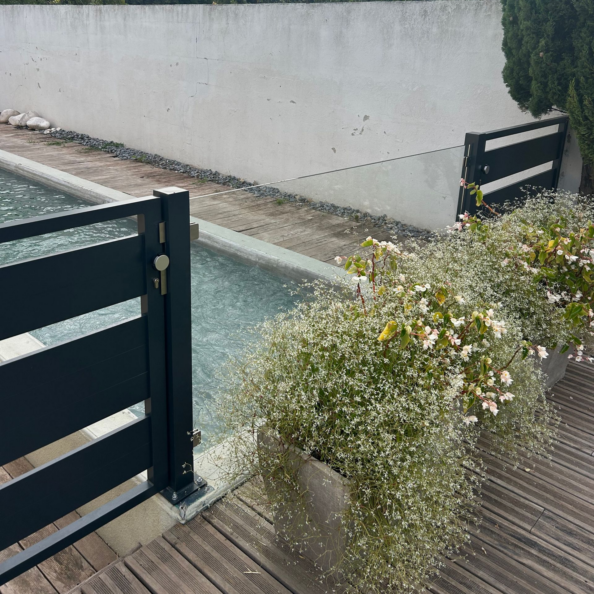 Une clôture noire et un portail entourent une piscine, à côté d'une jardinière, avec un mur blanc en arrière-plan.