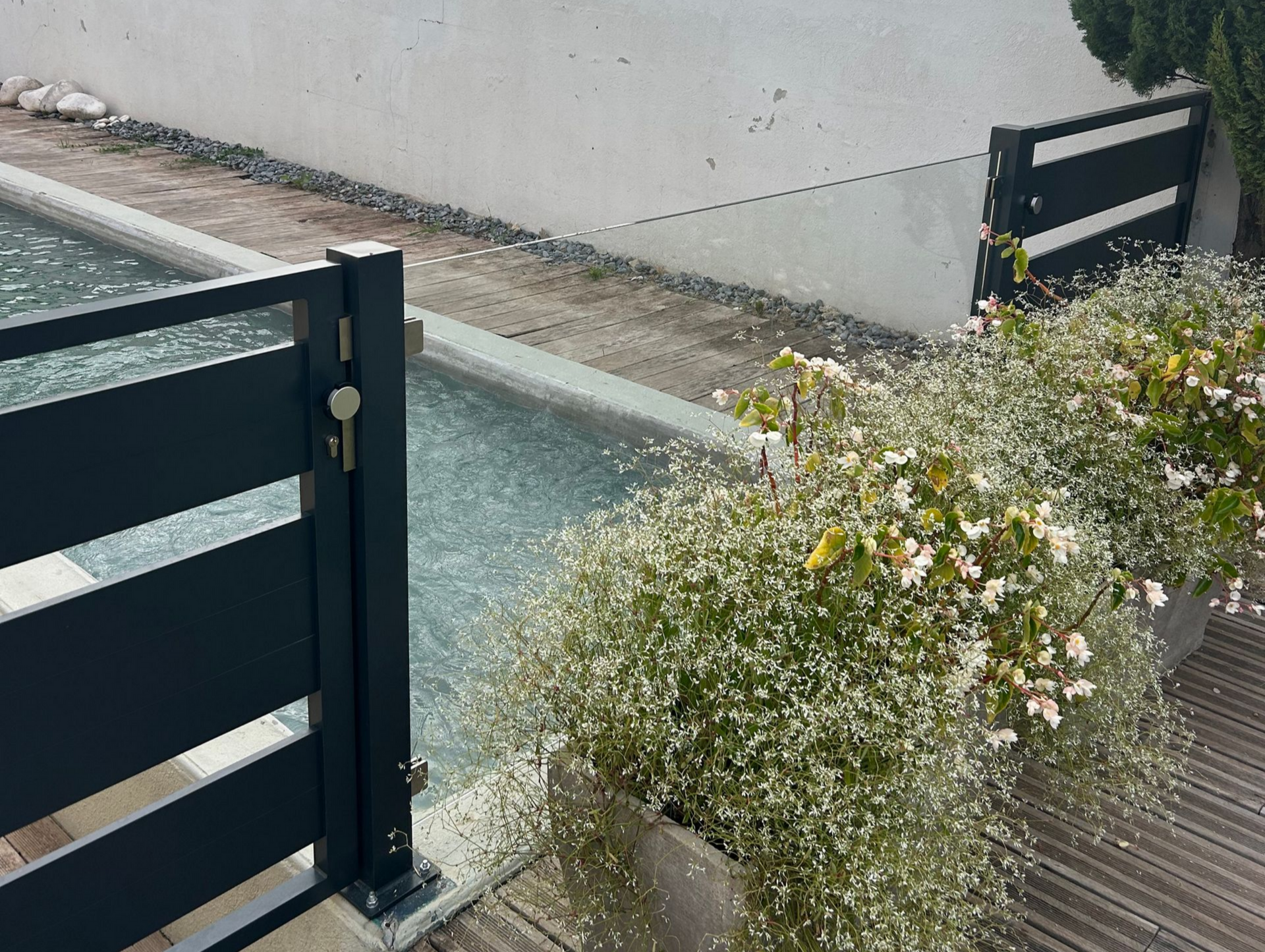Clôture noire avec des fleurs blanches et une piscine, à l'extérieur.