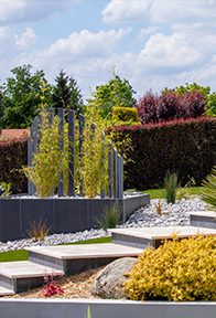 Aménagement d'un jardin avec plantes et escalier