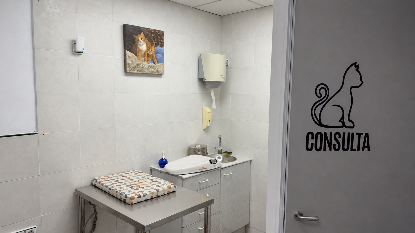 Pequeña sala de exploración con camilla, material médico, lavabo y una puerta con la etiqueta “CONSULTA” y el icono de un gato.
