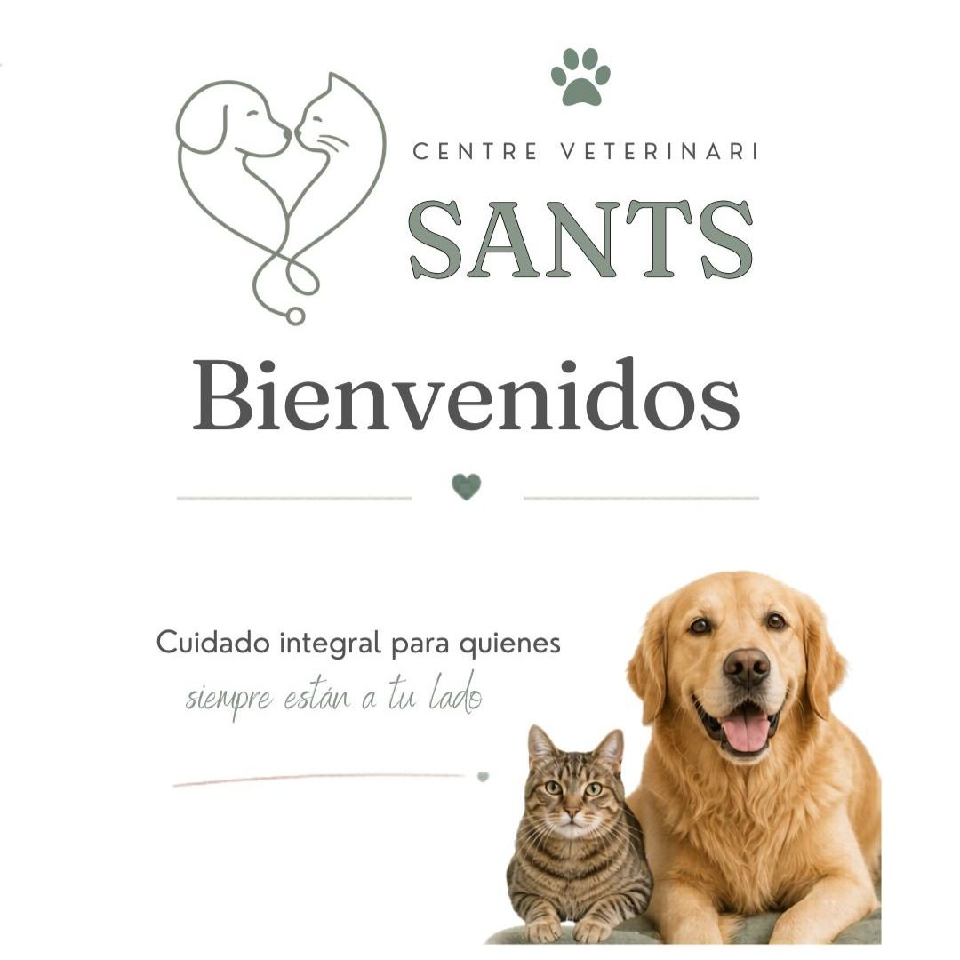 Letrero de bienvenida de la clínica veterinaria con un perro y un gato, que dice “Centre Veterinari Sants” y “Bienvenidos”.