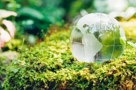Un globo de cristal está situado encima de una roca cubierta de musgo.