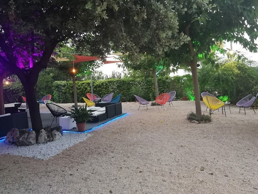 Un grupo de sillas están colocadas debajo de un árbol en una zona de grava.