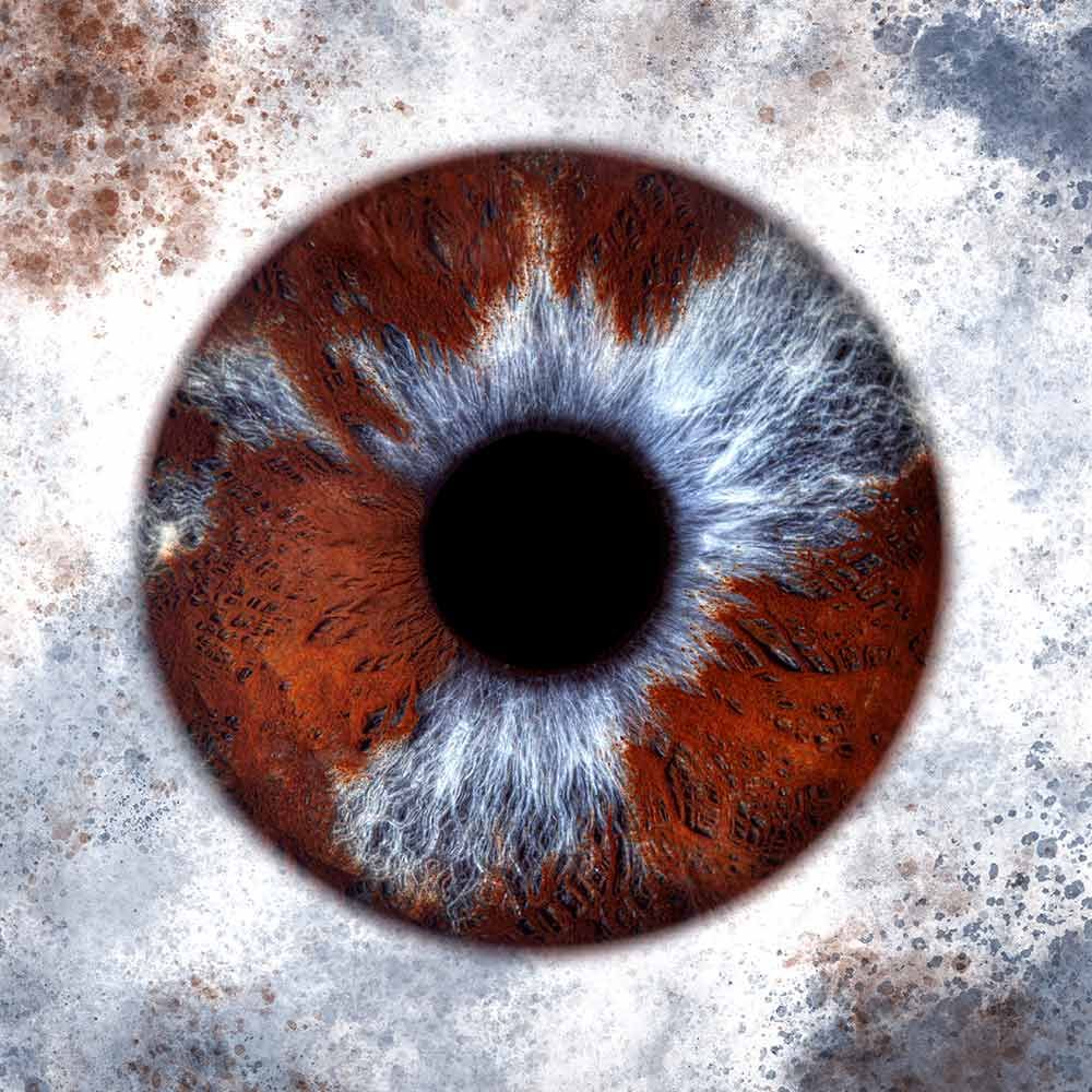 Eine Nahaufnahme eines braunen und blauen Auges auf weißem Hintergrund.