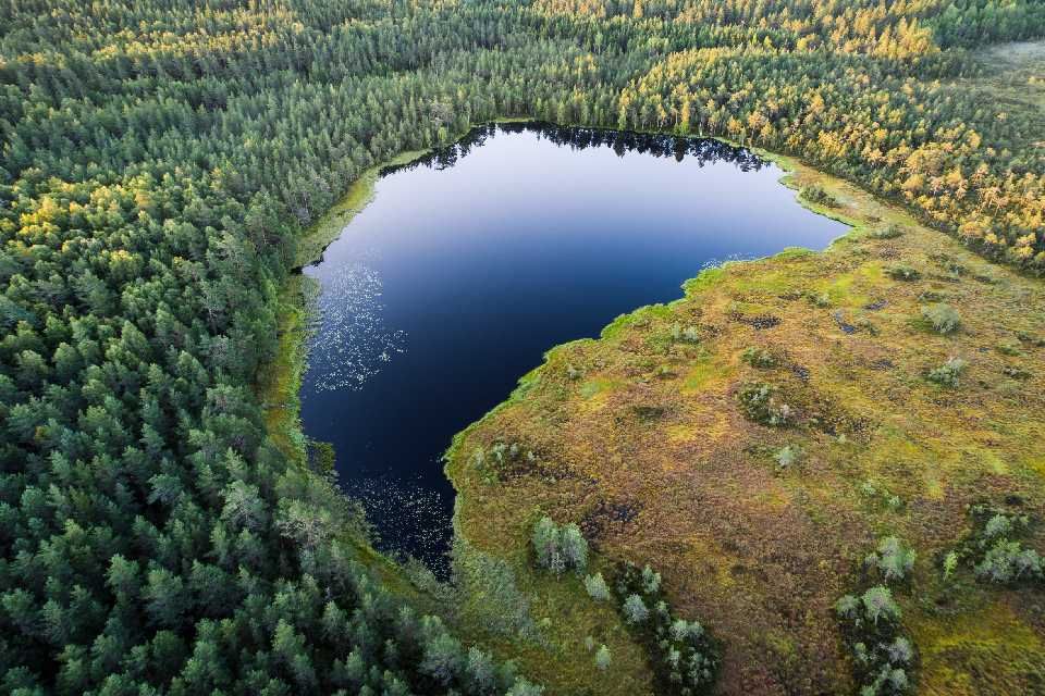 Ilomäen Puukauppa Ky