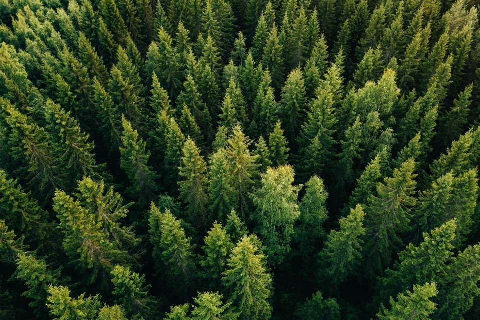 Ilomäen Puukauppa Ky