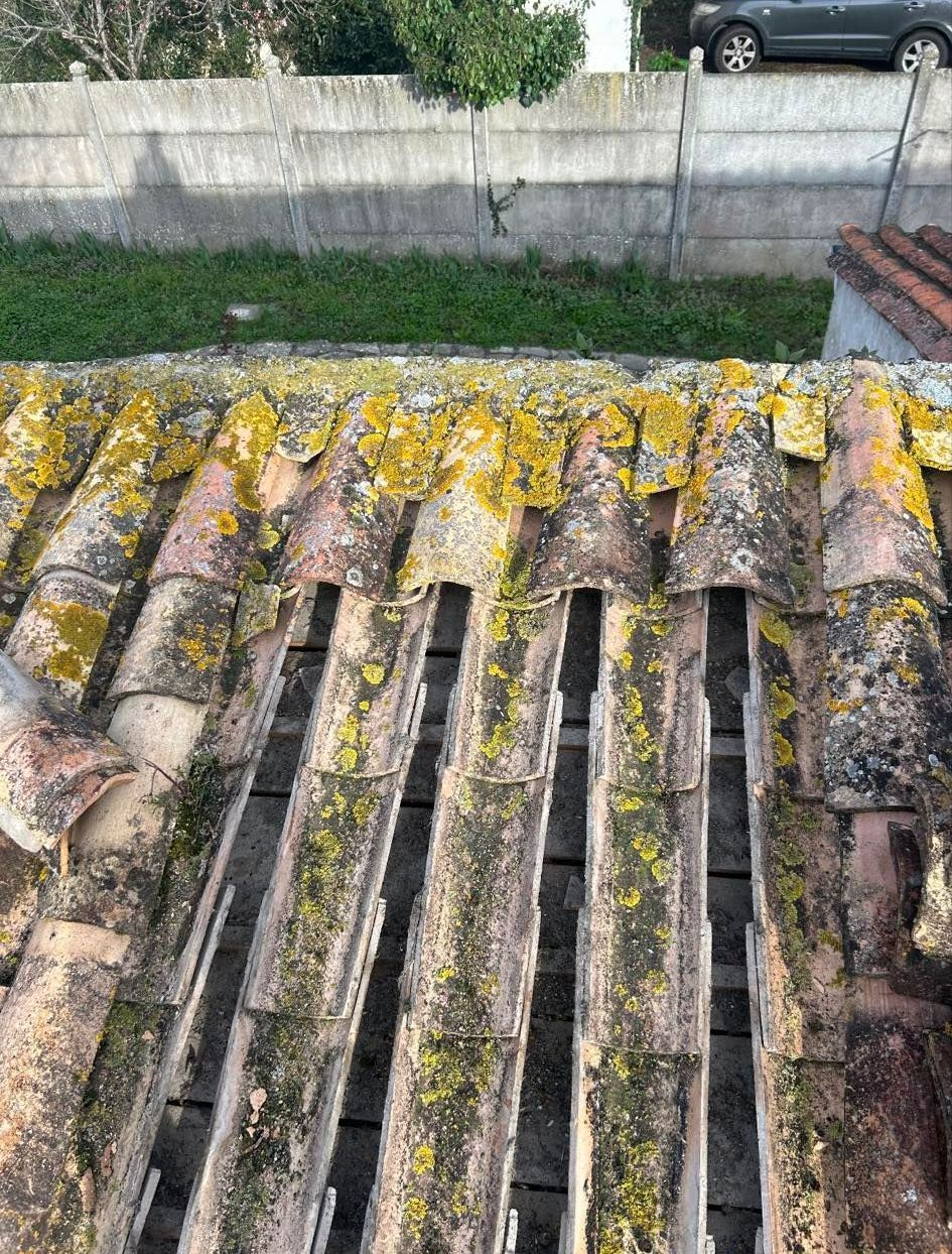 Des vieilles tuiles de toiture