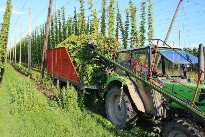 Tracteur dans un champ