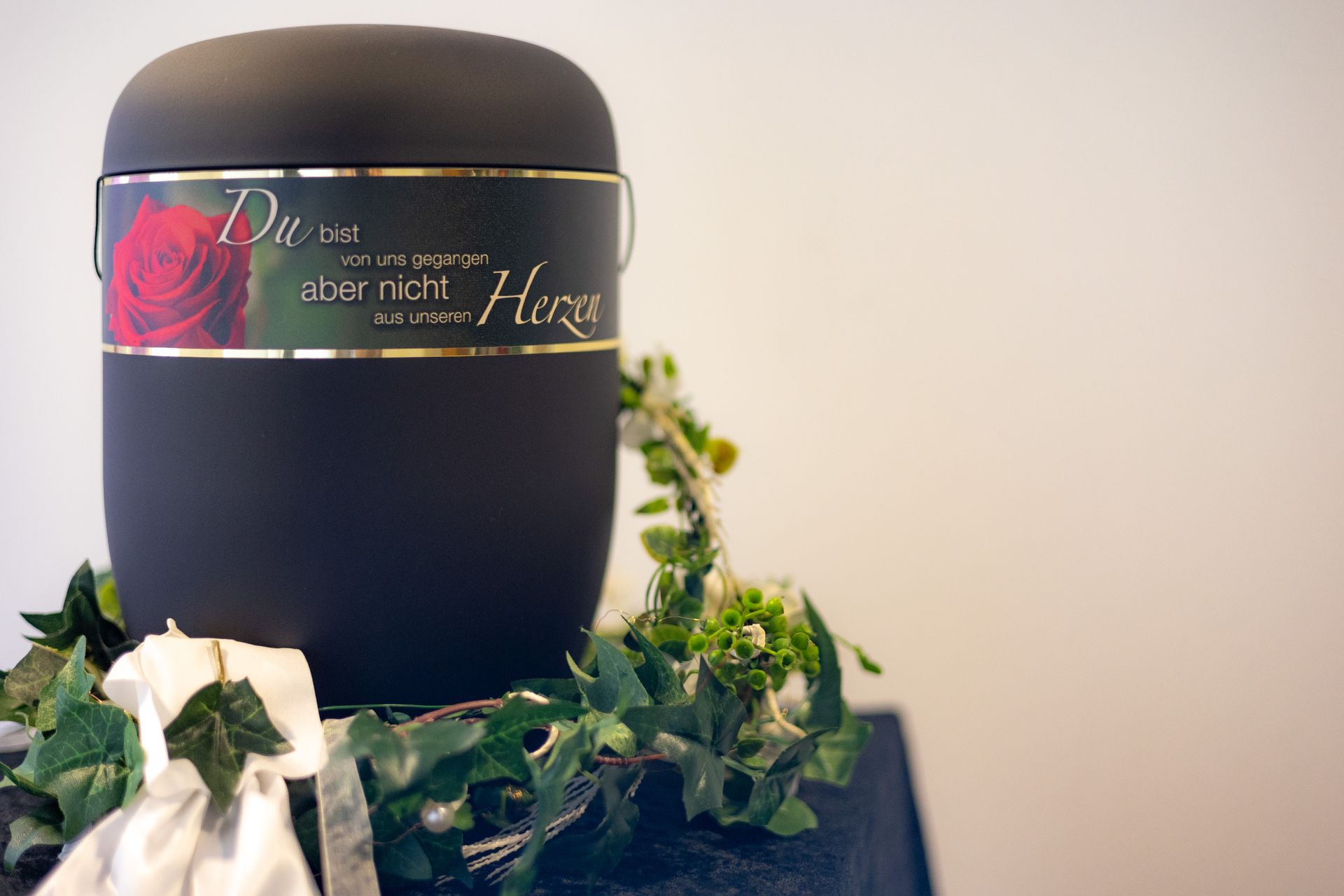 Rose im Sand am Strand