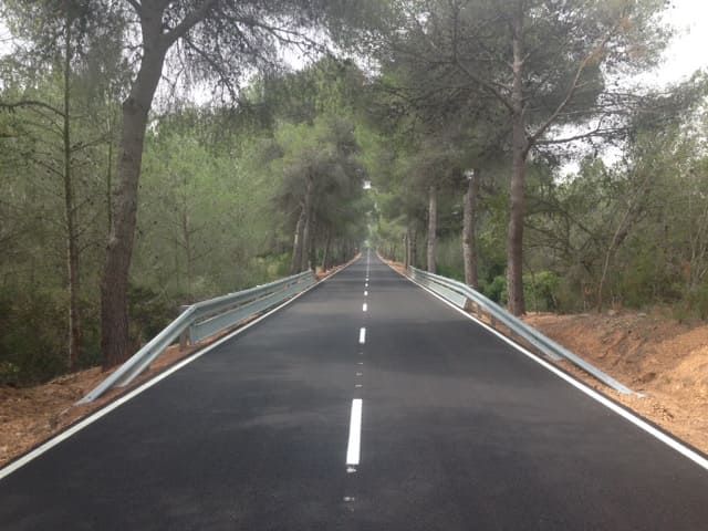 Carretera asfaltada bordeada de árboles y barandillas metálicas que se extienden hasta el horizonte.