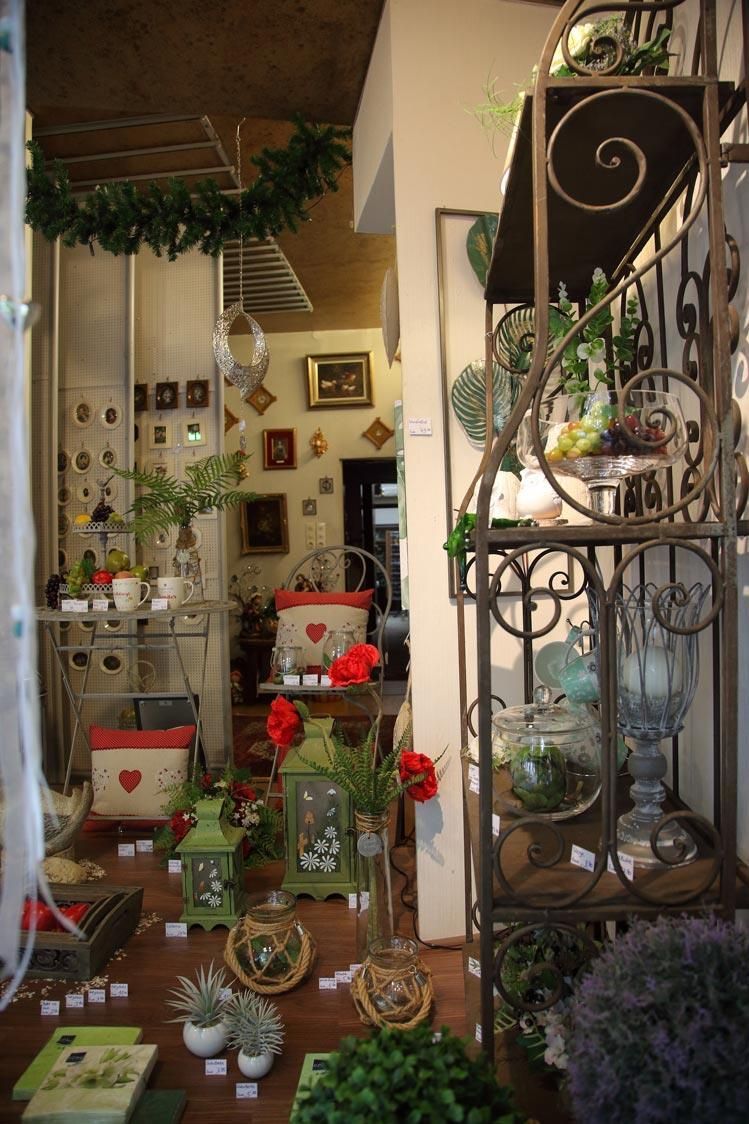 Ein Raum mit vielen Topfpflanzen auf dem Boden