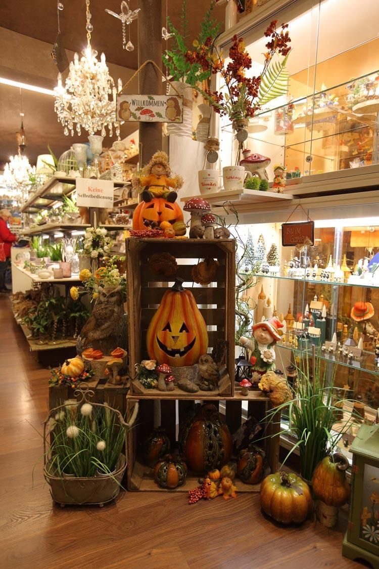 Eine Auslage mit Kürbissen und Blumen in einem Geschäft