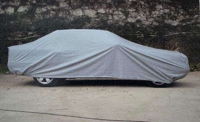 Toldo Meneses 