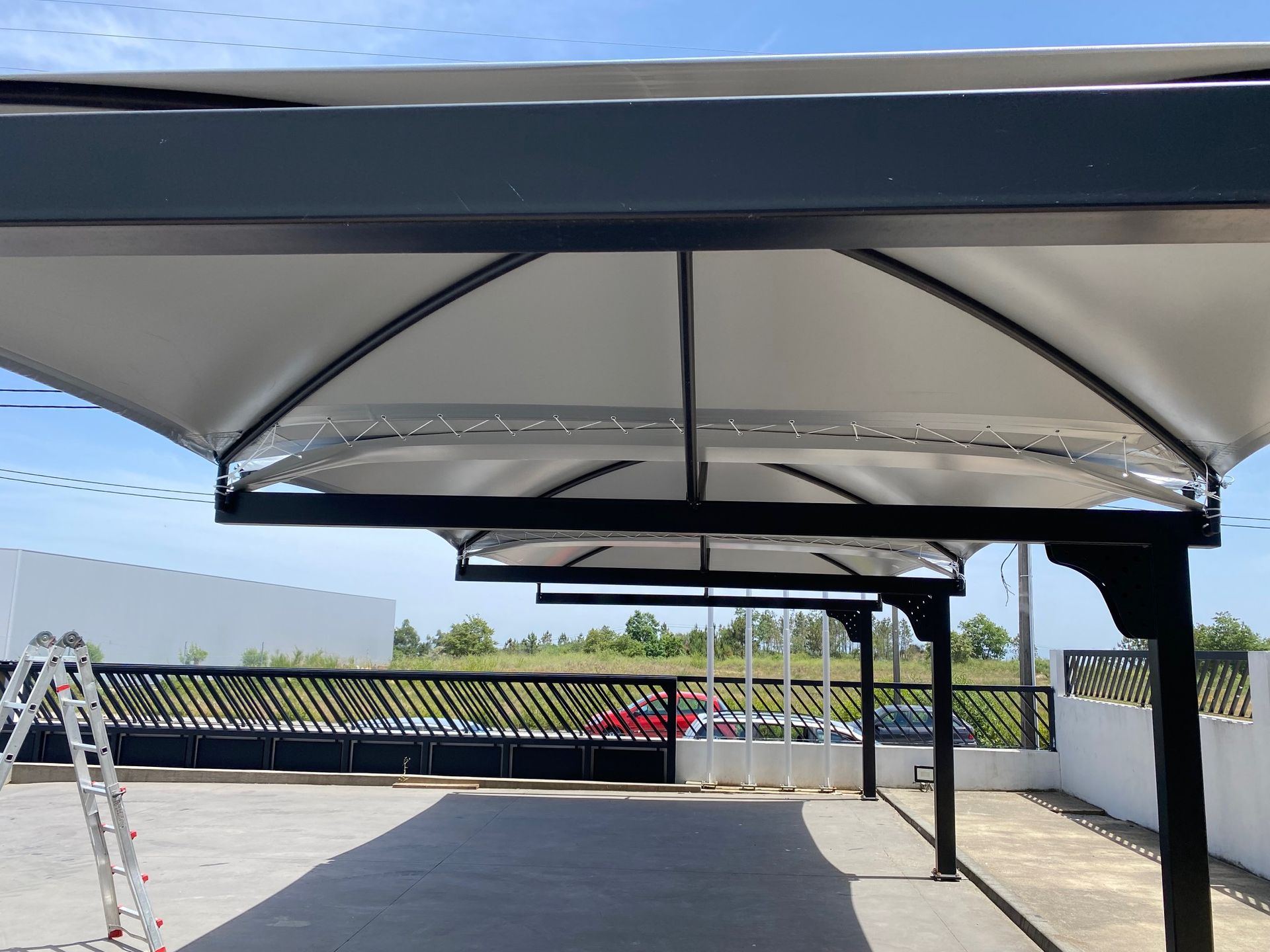 Toldo Meneses 