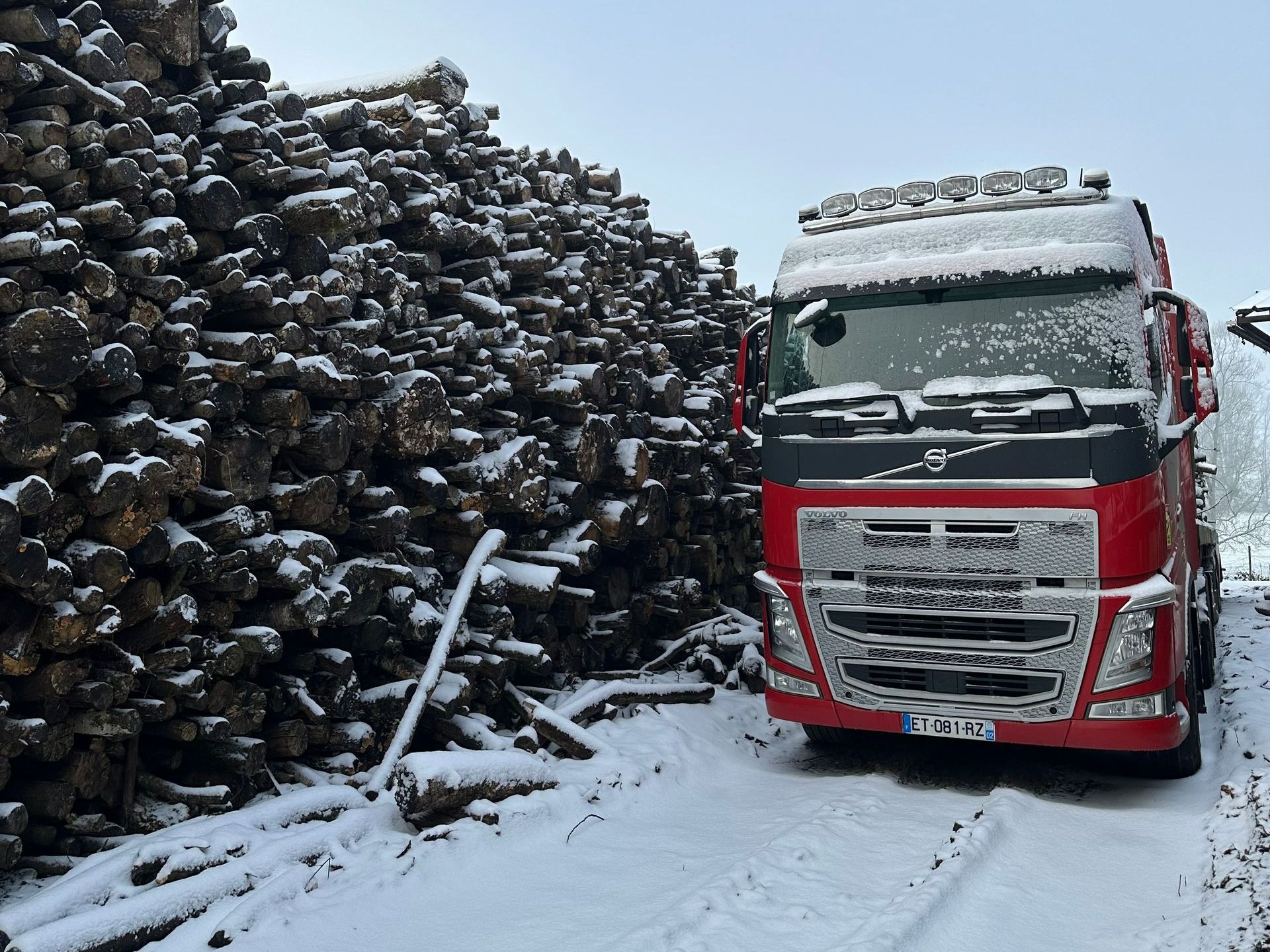 Tas de bois et un camion
