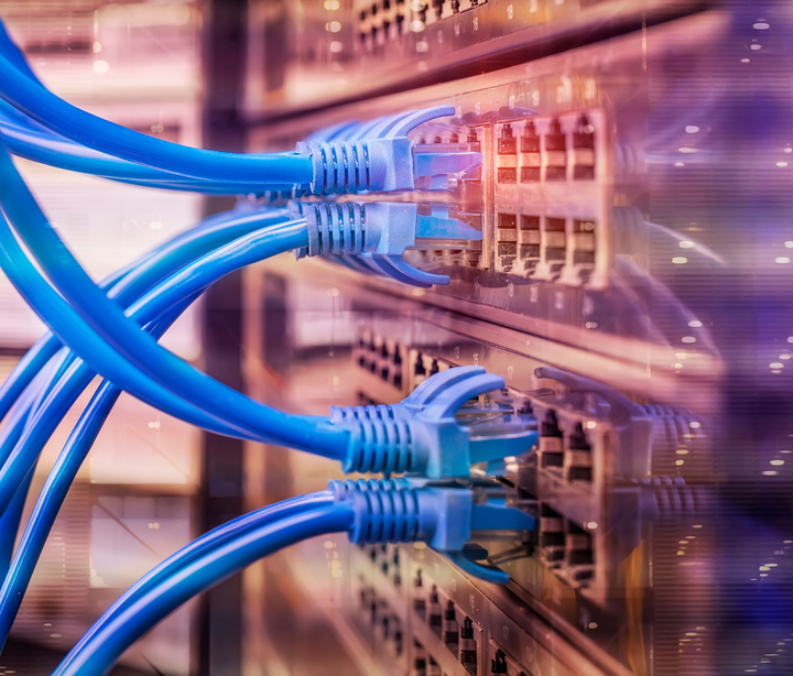 Des câbles Ethernet bleus sont branchés sur des prises réseau.