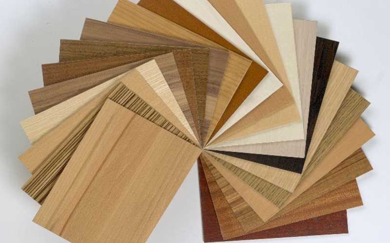 Verschiedene Holzproben sind fächerartig angeordnet