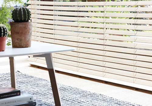 Ein Couchtisch mit einem Kaktus im Topf darauf vor einem Fenster mit Jalousien.