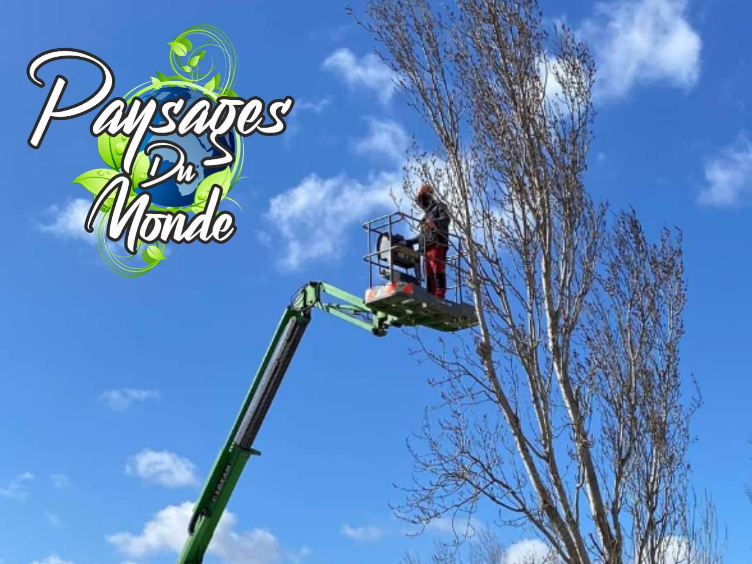 Élagage avec nacelle