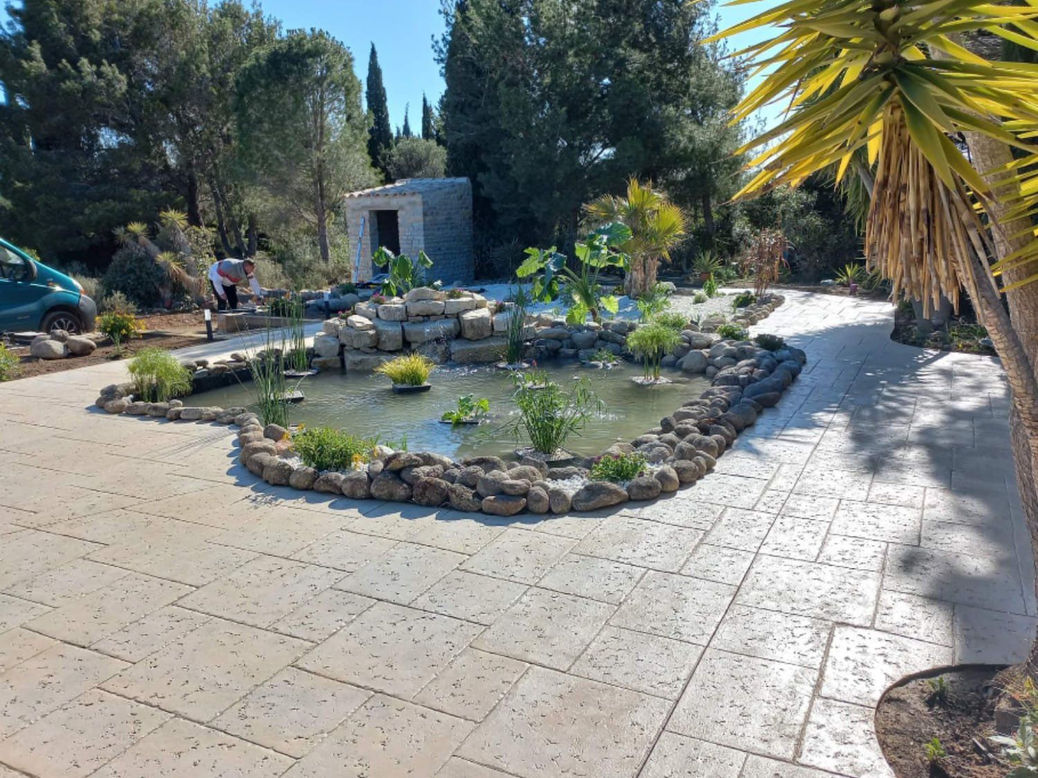 Bassin avec roches et plantes vertes