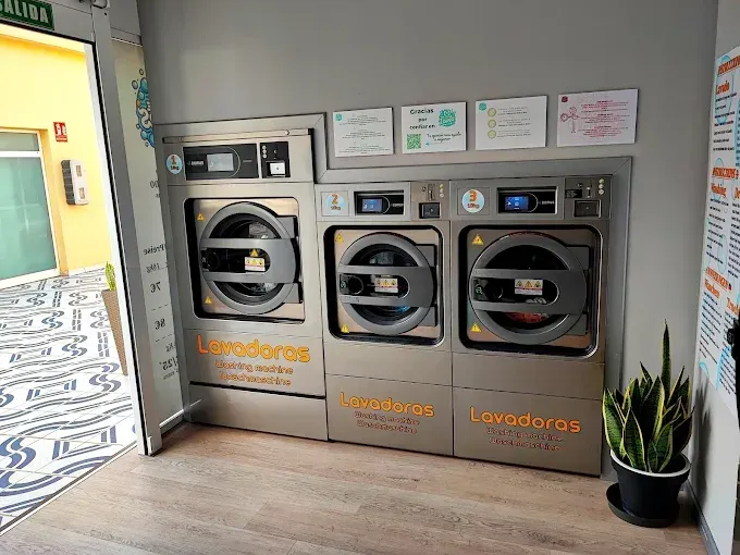 Tres lavadoras en una lavandería, con carteles encima, al lado de una puerta y una planta.