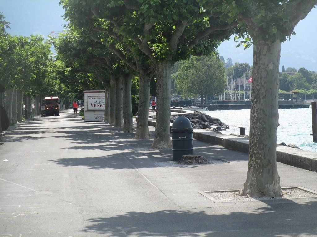 Argus Engineering Conseils Sàrl|Vevey