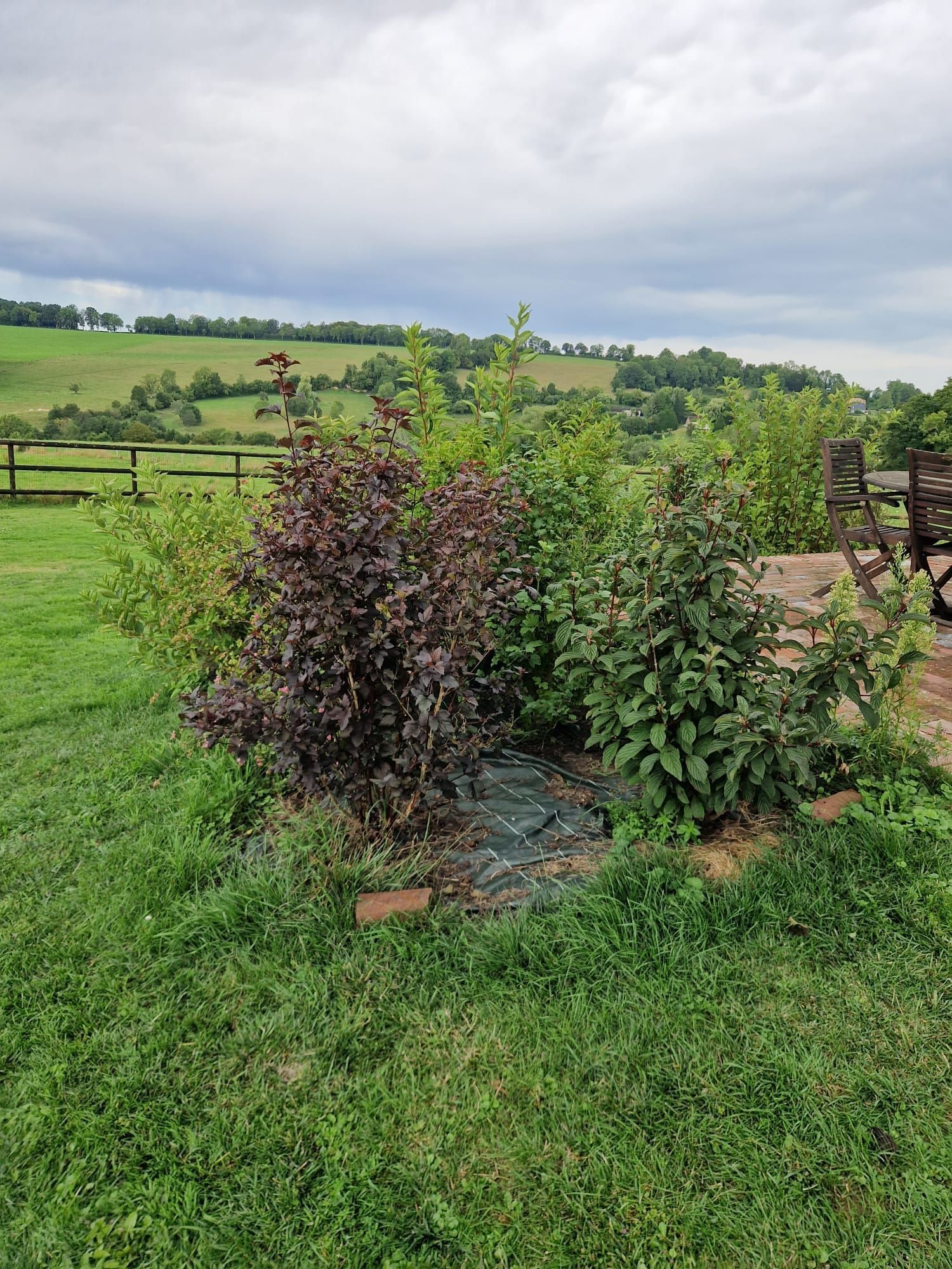 Entretien de massif - avant