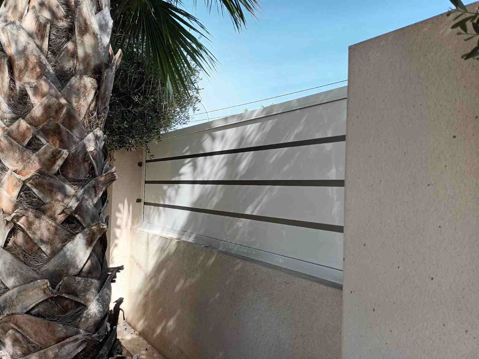 Una palmera está parada al lado de una pared blanca.