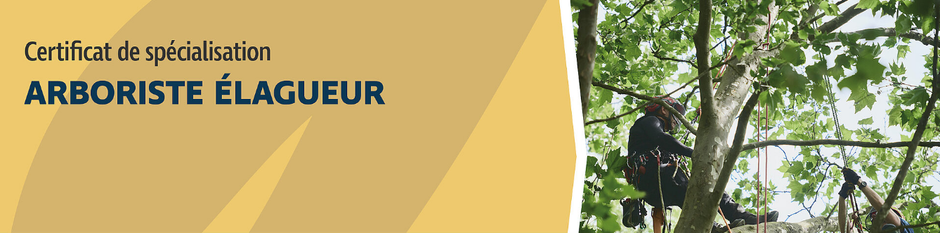 Certification de spécialisation arboriste-élagueur