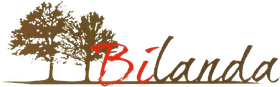 logotipo cabecera
