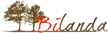 logotipo cabecera