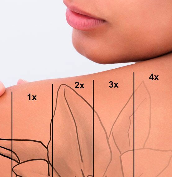 Diagrama que muestra un hombro con superposiciones etiquetadas como 1x, 2x, 3x y 4x. Estas indican las etapas del movimiento del hombro.
