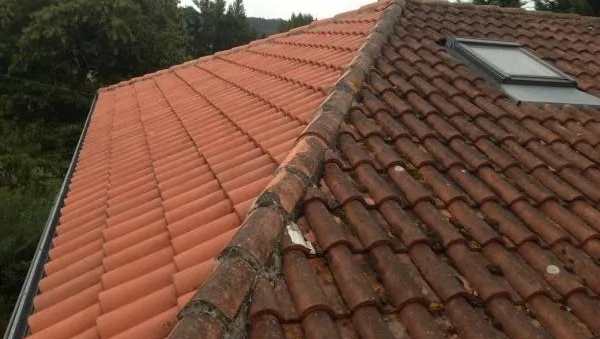 avant après d'un démoussage sur-mesure